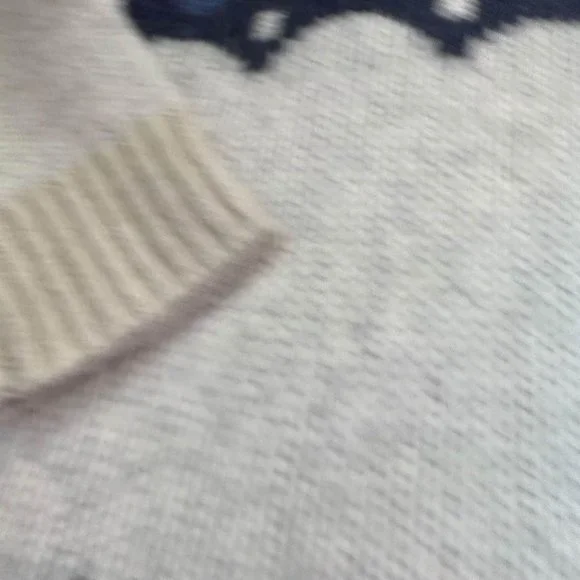 Aerie Chunky Knit Oversized Nordic sweater size small - Picture 4 of 7